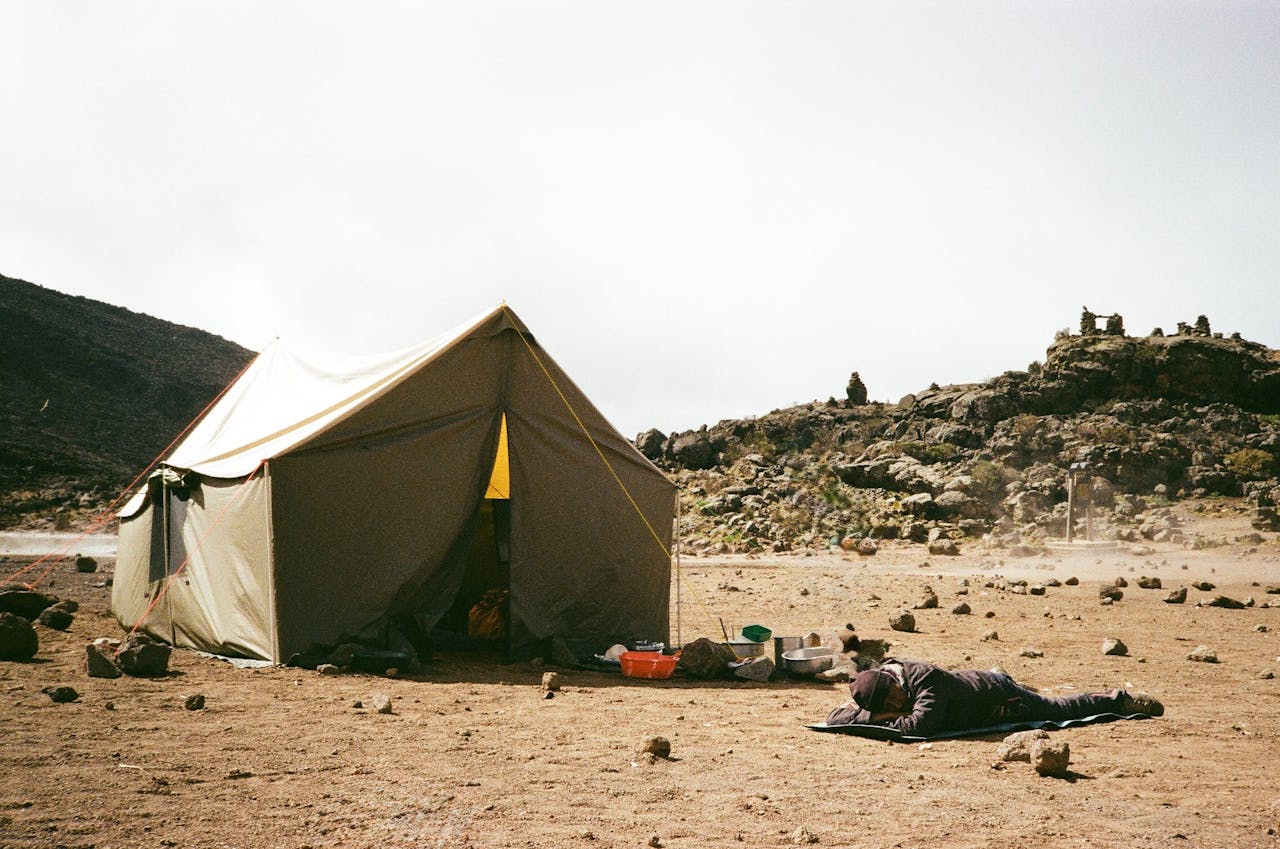 lemosho route kilimanjaro: best scenic route explained